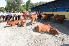 gaumukhdairy-17