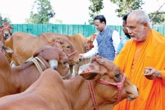 gaumukhdairy-2