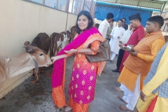 gaumukhdairy-6
