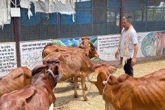 gaumukhdairy23