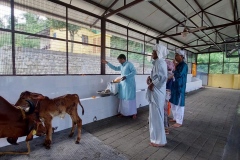 gaumukhdairy25