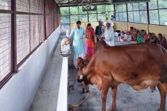 gaumukhdairy26