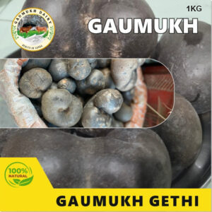 Gaumukh Gethi