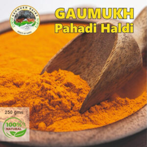 Gaumukh Pahadi Haldi