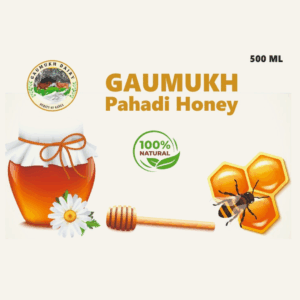 Gaumukh Pahadi Honey
