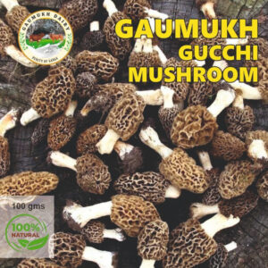 Gaumukh Gucchi Mushroom