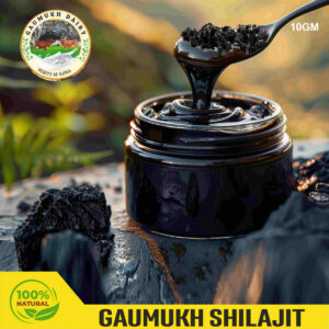 Gaumukh Shilajit